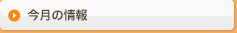 今月の情報