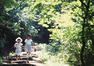 散策する子供　鴫の谷地沼