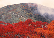三宝荒神山より地蔵山を望む