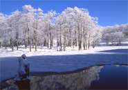 初雪の頃のドッコ沼