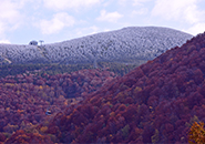 初霜の装い 10月21日蔵王中腹と地蔵山頂