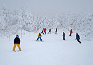 2016年12月18日 樹氷原コースを滑る