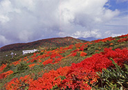 地蔵山より後方蔵王ロープウエイ・三宝荒神山