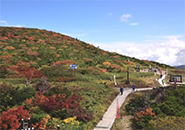 お地蔵様・三宝荒神山(地蔵尊秋季大祭 H29.9.24)