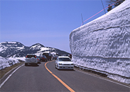 蔵王エコーライン　雪回廊