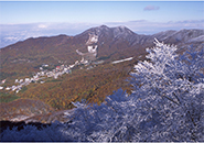 温泉の街　紅葉高原ブナ林霧氷