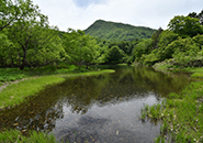 中央高原　片貝沼