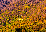 （3）紅葉空中散歩