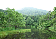 蔵王中央高原　片貝沼