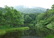 中央高原 片貝沼