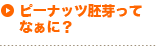 ピーナッツ胚芽ってなぁに？