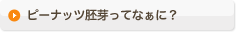 ピーナッツ胚芽ってなぁに？