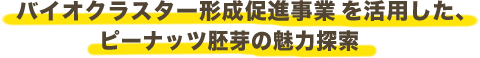 バイオクラスター形成促進事業を活用した、ピーナッツ胚芽の魅力探索