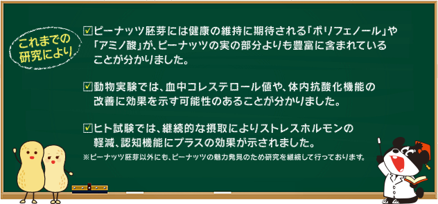 これまでの研究により
ピーナッツ胚芽には健康維持に期待される「ポリフェノール」や「アミノ酸」が、ピーナッツの実の部分よりも豊富に含まれていることがわかりました。
動物実験では、血中コレステロール値や、体内抗酸化機能の改善に効果を示す可能性のあることが分かりました。
ヒト試験では、継続的な摂取によりストレスホルモンの軽減、認知機能にプラスの効果が示されました。
※ピーナッツ胚芽以外にも、ピーナッツの魅力発見のため研究を継続して行っております。