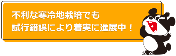 不利な寒冷地栽培でも試行錯誤により着実に進展中!