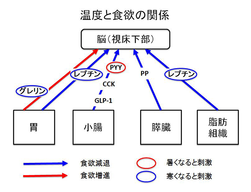 graph16